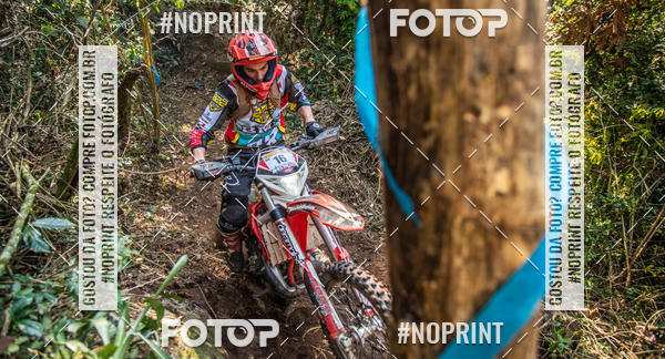 Buy your photos of the eventNight Track 2019 on Fotop