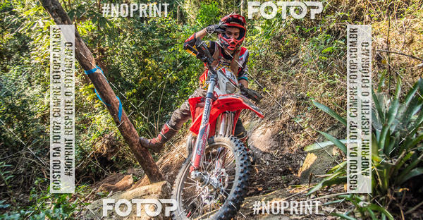 Buy your photos of the eventNight Track 2019 on Fotop