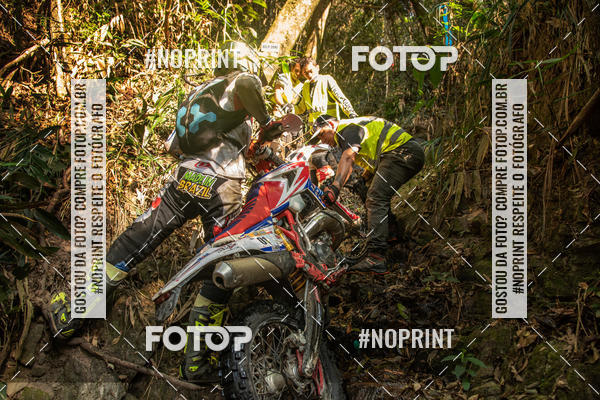 Buy your photos of the eventNight Track 2019 on Fotop