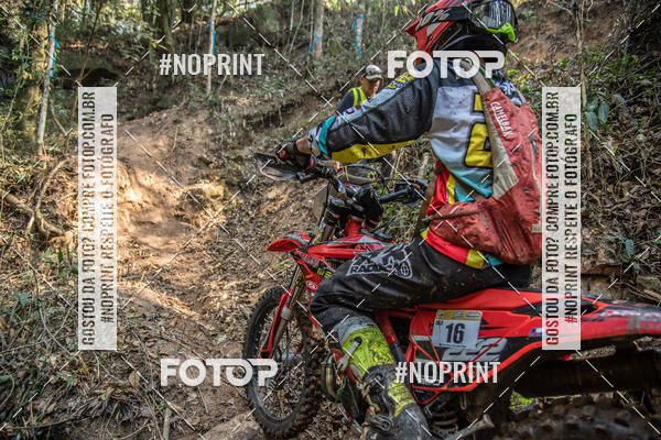 Buy your photos of the eventNight Track 2019 on Fotop