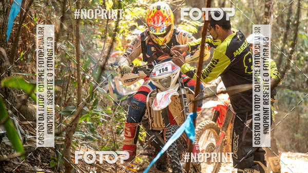 Buy your photos of the eventNight Track 2019 on Fotop