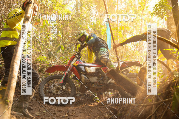 Buy your photos of the eventNight Track 2019 on Fotop