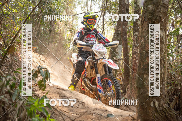 Buy your photos of the eventNight Track 2019 on Fotop