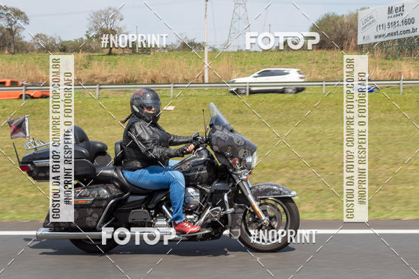 Buy your photos of the eventFesta da Primavera 2019 - Ladies  on Fotop