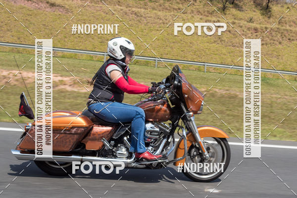 Buy your photos of the eventFesta da Primavera 2019 - Ladies  on Fotop