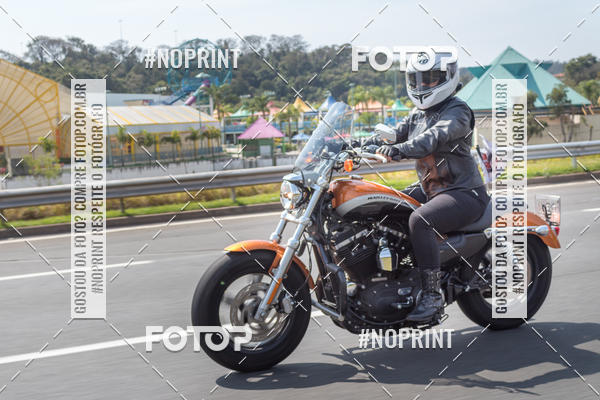 Buy your photos of the eventFesta da Primavera 2019 - Ladies  on Fotop