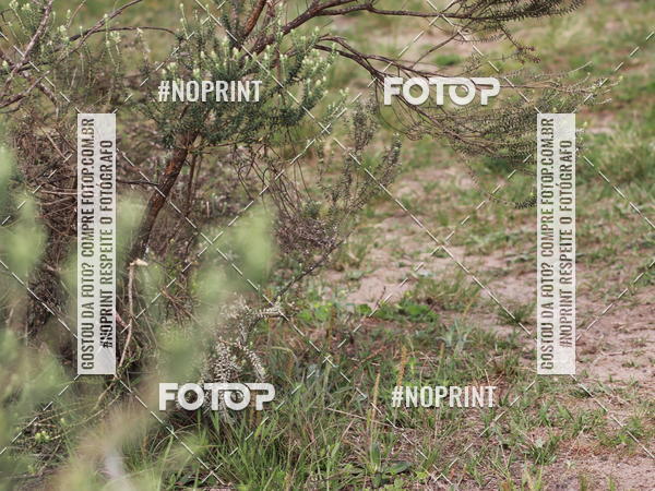 Buy your photos of the eventDISCOVER TRAIL - S�O LUIZ DO PURUN� on Fotop