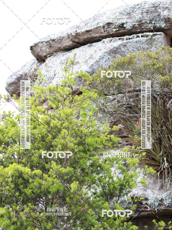 Buy your photos of the eventDISCOVER TRAIL - S�O LUIZ DO PURUN� on Fotop