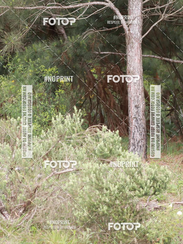 Buy your photos of the eventDISCOVER TRAIL - S�O LUIZ DO PURUN� on Fotop