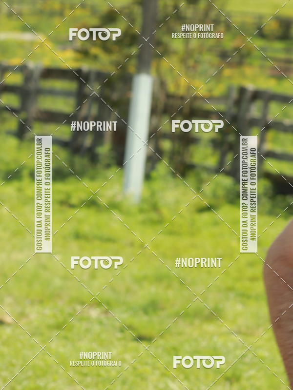 Buy your photos of the eventDISCOVER TRAIL - S�O LUIZ DO PURUN� on Fotop