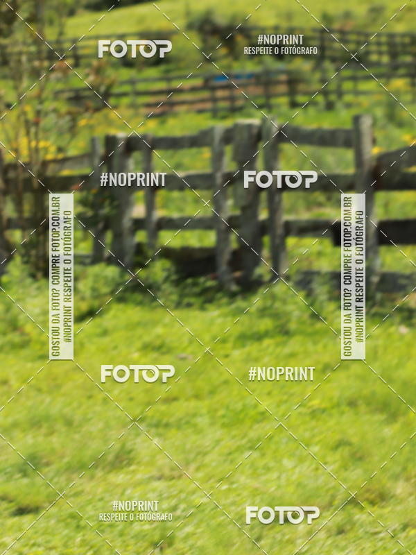 Buy your photos of the eventDISCOVER TRAIL - S�O LUIZ DO PURUN� on Fotop