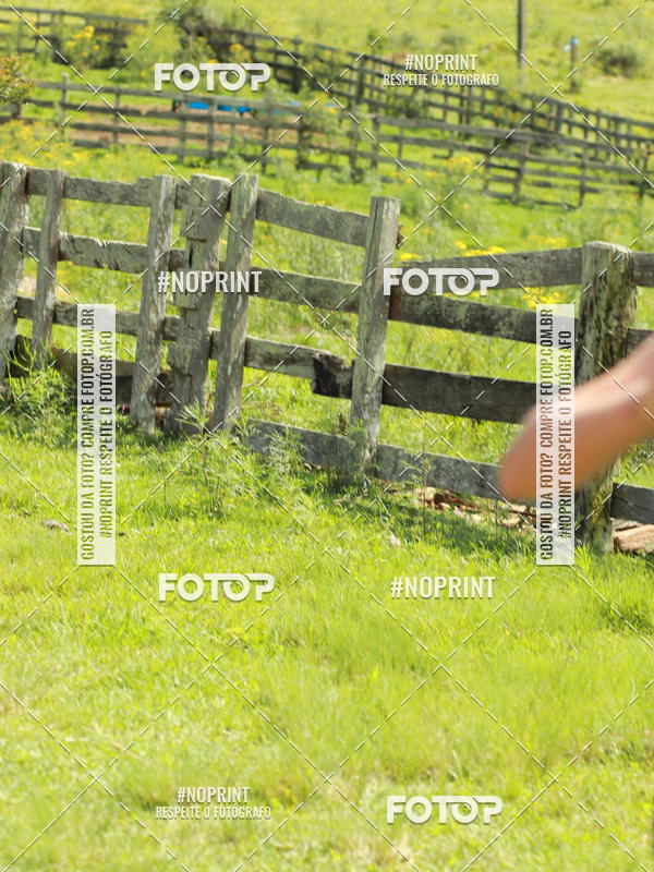 Buy your photos of the eventDISCOVER TRAIL - S�O LUIZ DO PURUN� on Fotop