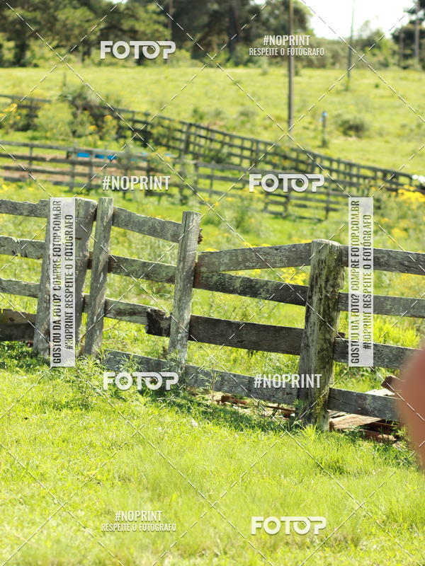 Buy your photos of the eventDISCOVER TRAIL - S�O LUIZ DO PURUN� on Fotop