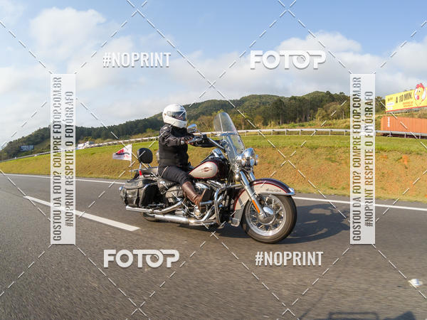 Compre suas fotos do eventoHopi Hari - Ladies no Fotop