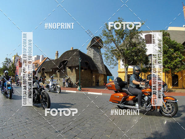 Buy your photos of the eventHopi Hari - Ladies on Fotop