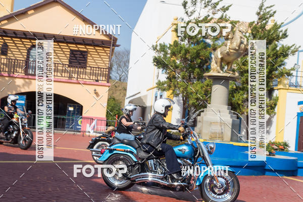 Buy your photos of the eventHopi Hari - Ladies on Fotop