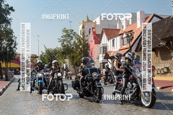 Buy your photos of the eventHopi Hari - Ladies on Fotop