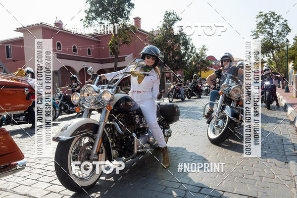 Buy your photos of the eventHopi Hari - Ladies on Fotop