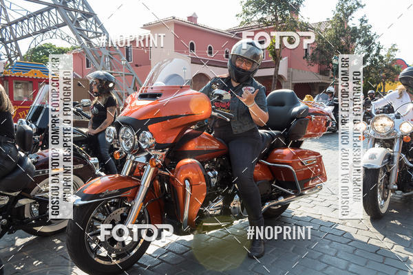 Buy your photos of the eventHopi Hari - Ladies on Fotop