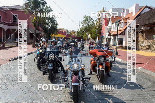 Buy your photos of the eventHopi Hari - Ladies on Fotop