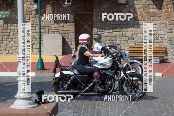 Buy your photos of the eventHopi Hari - Ladies on Fotop