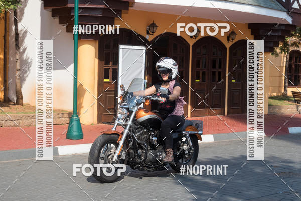 Buy your photos of the eventHopi Hari - Ladies on Fotop