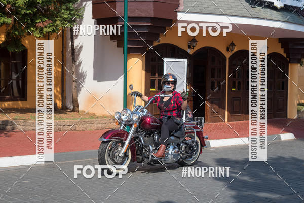 Buy your photos of the eventHopi Hari - Ladies on Fotop