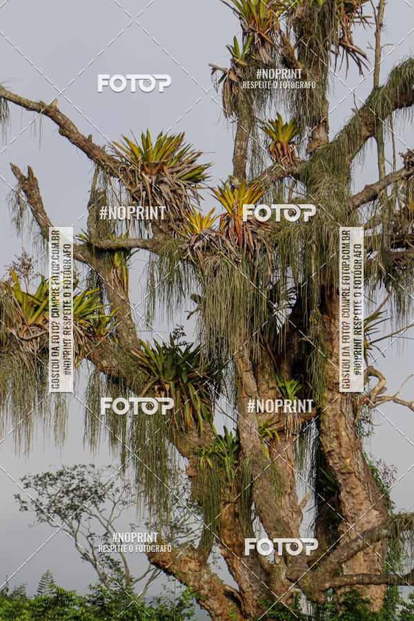 Buy your photos of the eventTreino Noide 14-09 on Fotop