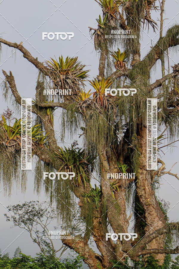 Buy your photos of the eventTreino Noide 14-09 on Fotop