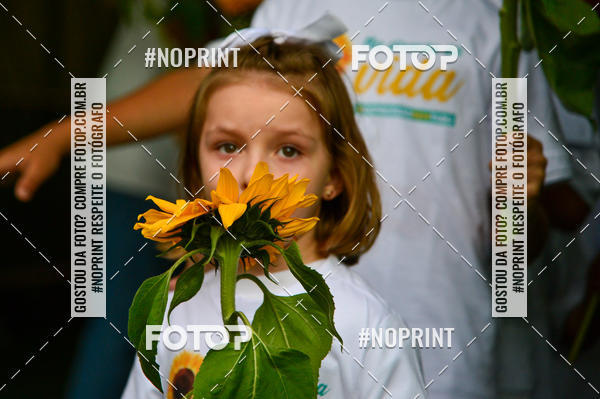 Buy your photos of the eventFlamengo x Santos � Maracan� - 14/09/2019 on Fotop