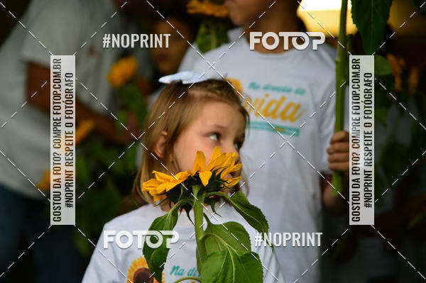 Buy your photos of the eventFlamengo x Santos � Maracan� - 14/09/2019 on Fotop