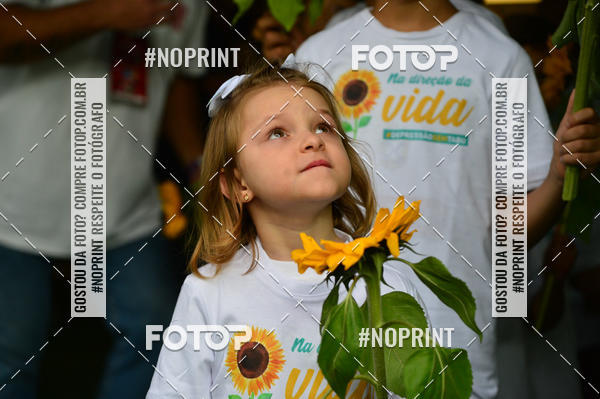 Buy your photos of the eventFlamengo x Santos � Maracan� - 14/09/2019 on Fotop