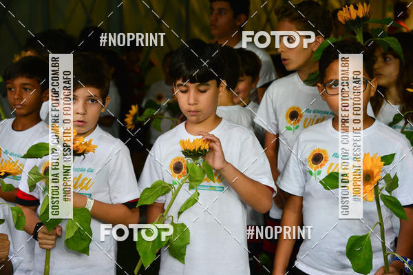 Buy your photos of the eventFlamengo x Santos � Maracan� - 14/09/2019 on Fotop