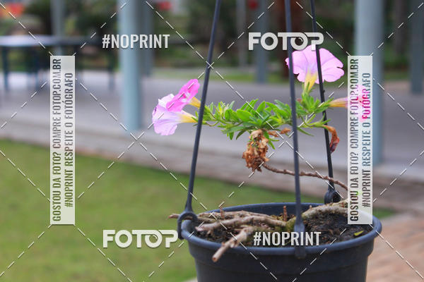 Buy your photos of the eventCORRIDA E CAMINHADA DA SA�DE   on Fotop