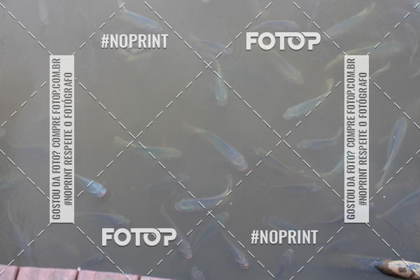 Buy your photos of the eventCORRIDA E CAMINHADA DA SA�DE   on Fotop