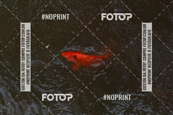 Buy your photos of the eventCORRIDA E CAMINHADA DA SA�DE   on Fotop