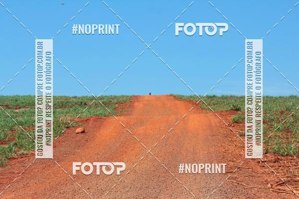 Buy your photos of the event4 MARATONA DE MTB DE CAPIVARI on Fotop