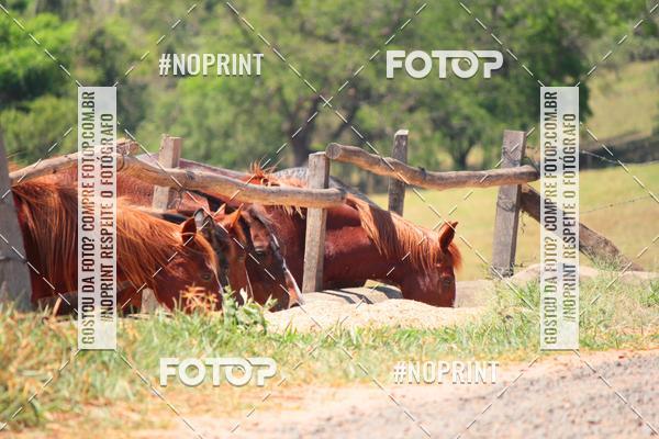 Buy your photos of the event4 MARATONA DE MTB DE CAPIVARI on Fotop