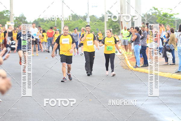 Acquista le foto dell'evento10 Corrida RCR Pompia in Fotop