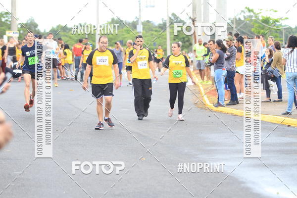 Acquista le foto dell'evento10 Corrida RCR Pompia in Fotop