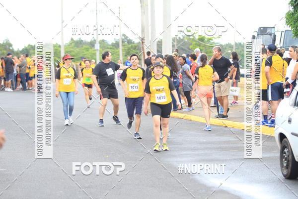 Acquista le foto dell'evento10 Corrida RCR Pompia in Fotop