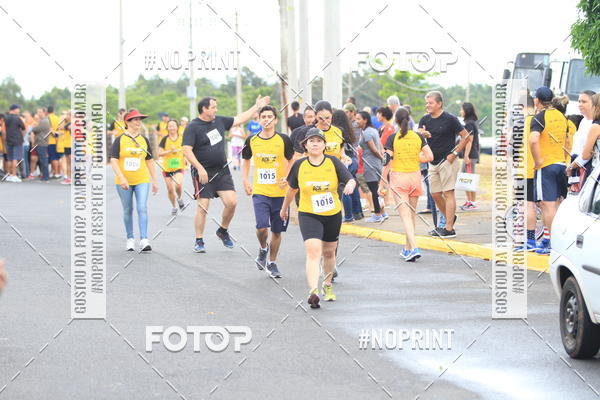 Acquista le foto dell'evento10 Corrida RCR Pompia in Fotop
