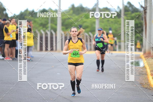 Achetez vos photos de l'vnement10 Corrida RCR Pompia sur Fotop