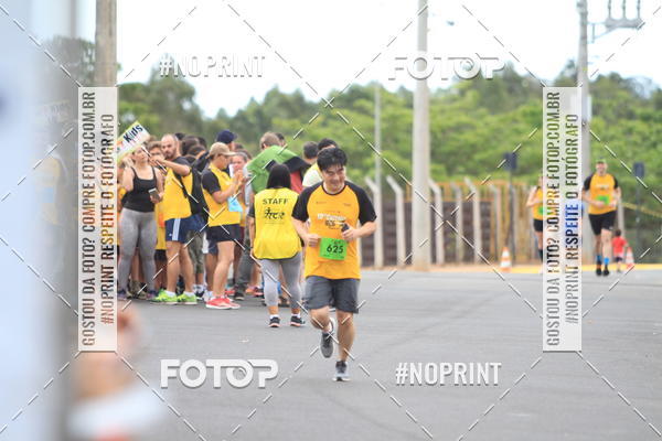 Acquista le foto dell'evento10 Corrida RCR Pompia in Fotop