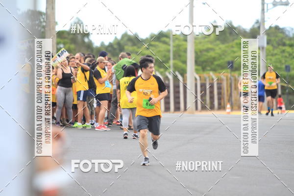 Acquista le foto dell'evento10 Corrida RCR Pompia in Fotop