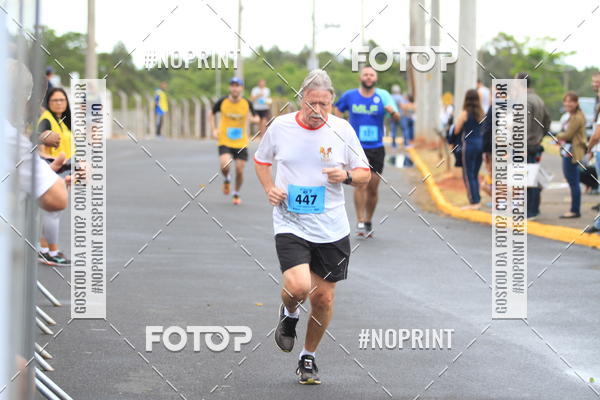 Buy your photos of the event10 Corrida RCR Pompia on Fotop