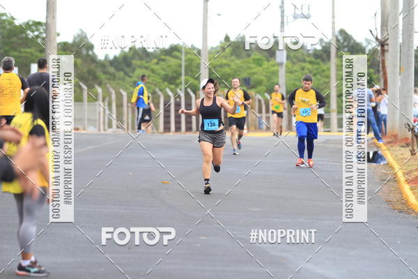 Buy your photos of the event10 Corrida RCR Pompia on Fotop