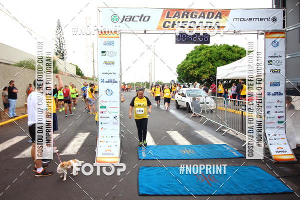 Acquista le foto dell'evento10 Corrida RCR Pompia in Fotop