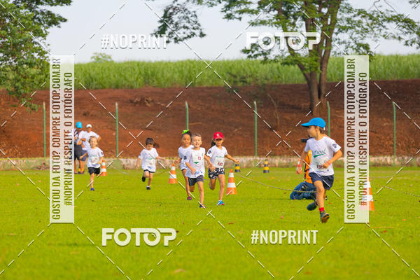 Buy your photos of the eventNATURAL RUN - 2019 on Fotop