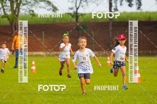 Buy your photos of the eventNATURAL RUN - 2019 on Fotop
